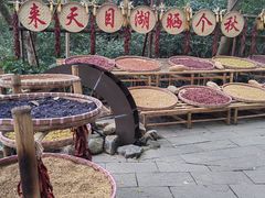 -天目湖山水园