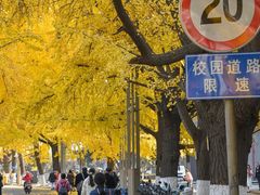 -四川大学(华西校区)