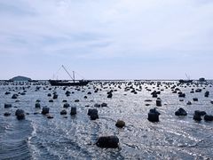 -枸杞岛