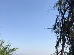 -大蜀山国家森林公园