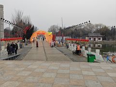 -曹州牡丹园