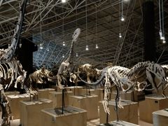 -世界恐龙谷景区