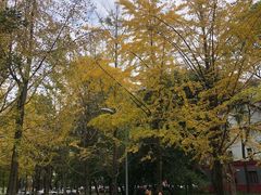 -四川大学(望江校区)