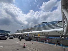 -吴淞口国际邮轮码头-停车场