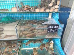-北戴河庆山饭店·海鲜砂锅粥(北戴河黑石路店)