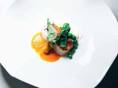 香煎扇贝-蝶舍·MAISON PAPILLON