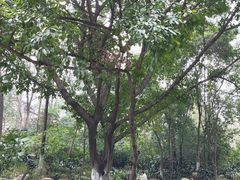 -成都市活水公园