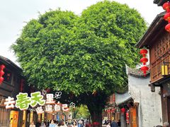 -三坊七巷历史文化街区