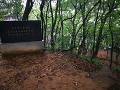 -马王堆汉墓遗址