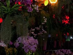 -天河体育中心