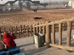 -泉城欧乐堡梦幻世界