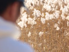 -野鸭湖国家湿地公园