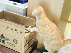 -谷咖啡·鲜花绿植花园餐厅