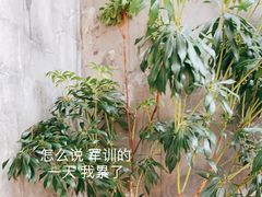-VOYAGE COFFEE(北锣鼓巷店)