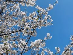 -白塘生态植物园