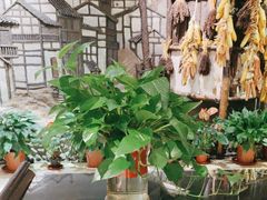 -渝信川菜(西单店)
