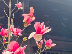 -荔湾湖公园
