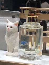 -香遇沙龙香水·调香·团建