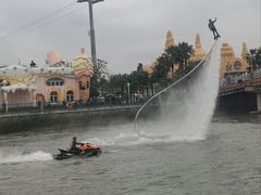 -上海海昌海洋公园