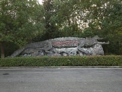 -中国扬子鳄村