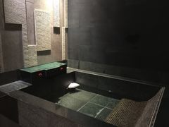 -天目湖涵田半山温泉