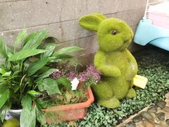 -锦尚阁烤鱼•天津菜(宣武门胡同店)