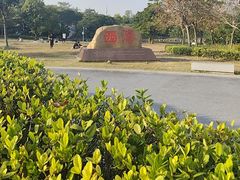 -宝安西湾红树林湿地公园