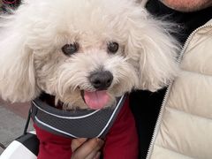 -京津佛罗伦萨小镇