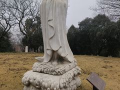 -太子山公园(园东路)