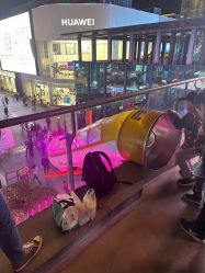 -嗨翻Hi-Fun竞技主题乐园·蹦床团建生日聚会(五棵松华熙店)