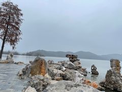 -东湖落雁景区