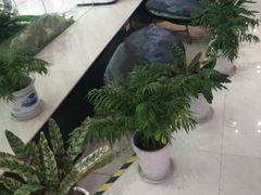 -北京网络广播电视台