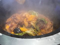 -挂雪铁锅炖大鹅