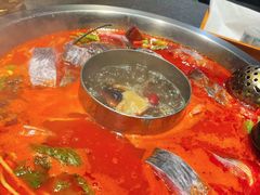 酸汤鱼-不老溪贵州菜(广安门总店)