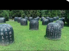 -中国人民抗日战争纪念雕塑园