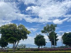 -璞真扎染博物馆