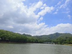 -番禺大夫山森林公园