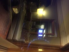 新加坡美年丽嘉酒店-新加坡丽思卡尔顿美年酒店