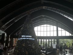 -三亚湾海居铂尔曼度假酒店