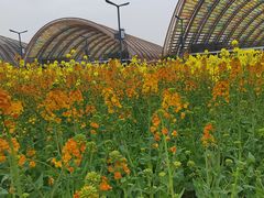 -中国天府农业博览园