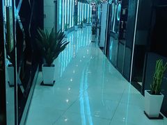 -绿树电竞(五路店)