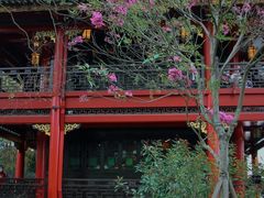 -顺峰山公园