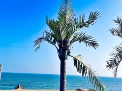 -巧克力渔家.小船海鲜家常菜(万平口店)