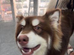-贝利宠物医院·骨科·眼科·肿瘤转诊中心(南坪诊疗中心)