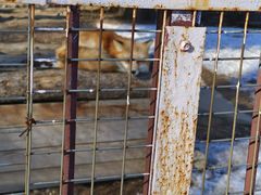 -沈阳森林动物园