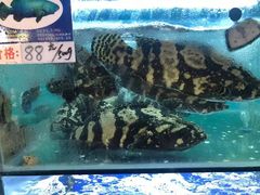 -南海渔家•海鲜•正宗海南菜(海棠湾店)