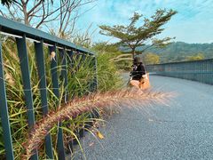 -碧桂园十里银滩