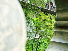 -何园
