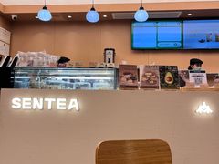 -森茶(湛江万达店)