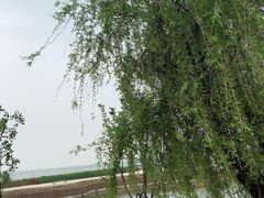 -苏州吴中太湖旅游区